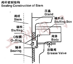 尺寸圖